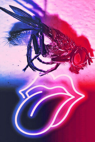 Buzzing in Neon: The McFly 2 Vibe