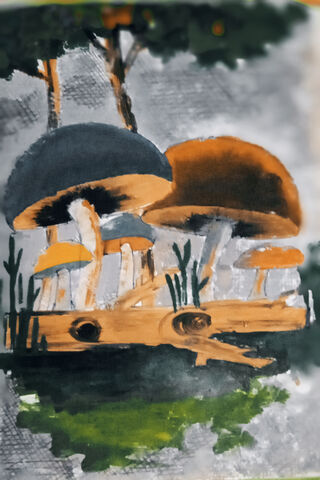Mystical Mushrooms in the Enchanted Forest 🍄✨
