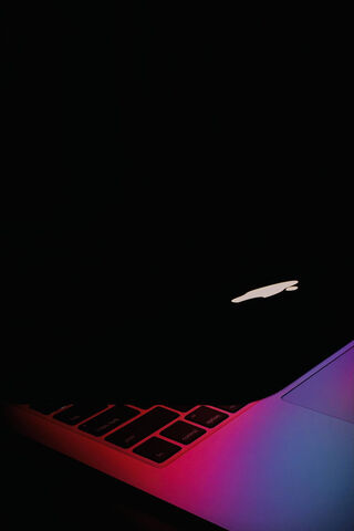 Illuminated Secrets: The MacBook in Shadows