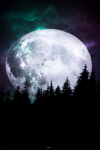 Lunar Serenade: A Night's Embrace 🌙✨