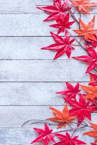 Autumn's Vibrant Tapestry 🍁✨