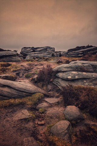 Dawn's Embrace on the Rocks 🌅