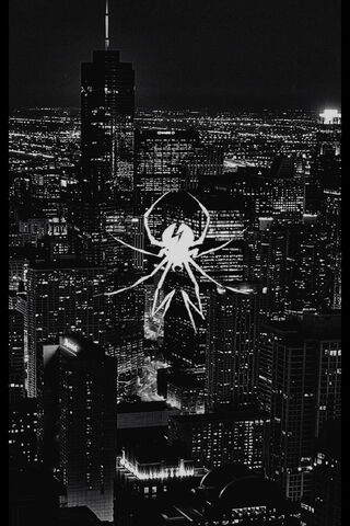 Urban Shadows: The Spider's Web