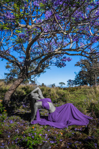 Serenity in Bloom 🌸