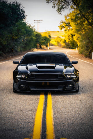 Mustang