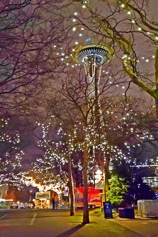 Twinkling Dreams: Seattle's Nighttime Charm