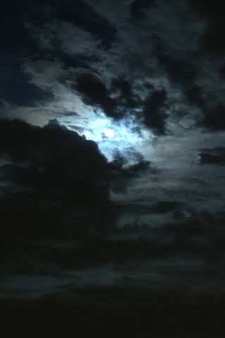 Moonlit Whispers: A Night in Senlis 🌙✨