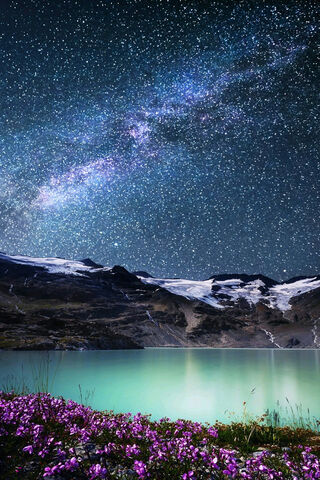 Celestial Reflections: A Night Under the Stars ✨🌌