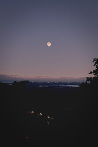 Moonlit Serenity: A Night to Remember 🌙✨