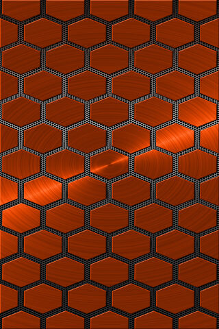 Poly: The Honeycomb Harmony 🍯✨