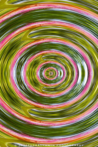Mindful Waves: The Psychology Circle 🌊🌀