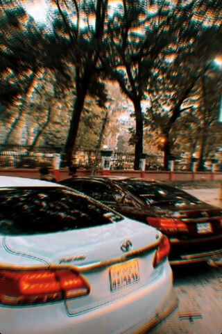 Premio in the Spotlight: A Drive Through Nature 🌳🚗