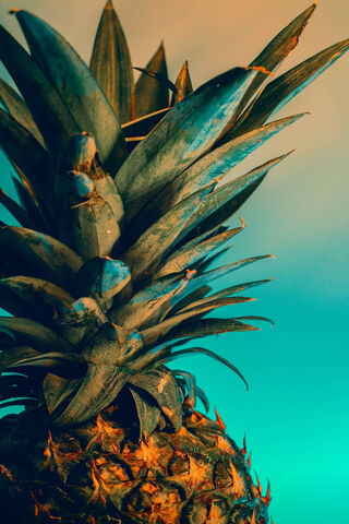 Tropical Delight: The Pineapple's Charm 🍍✨