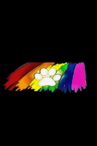 Paws of Color: A Vibrant Pet Tribute 🌈🐾