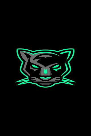 The Fierce Spirit of Pantera Verde 🐆💚