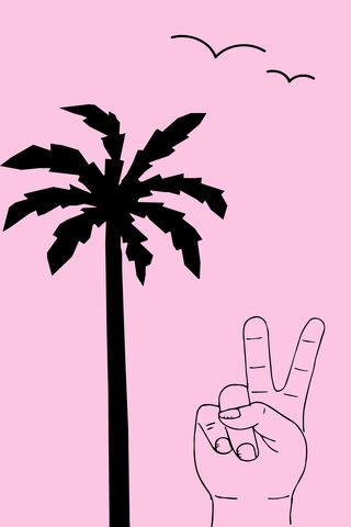 Serenity in Pink 🌴✌️