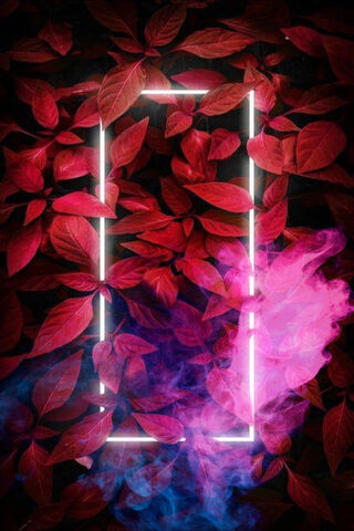 Crimson Dreams: A Leafy Escape 🍂✨