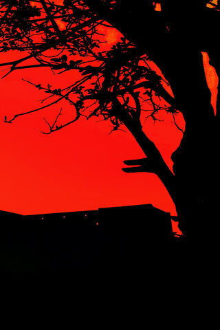 Crimson Shadows: A Dusk to Remember 🌅🌑