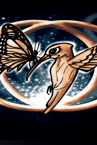 Wings of Transformation