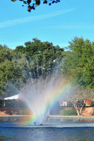 Dancing Colors: The Magic of the Rainbow Fountain 🌈💦