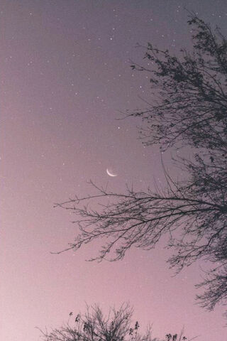 Moonlit Serenity: A RAM 1500 Adventure Awaits 🌙🚙