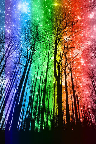 Mystical Colors of the Rainbow Forest 🌈🌲