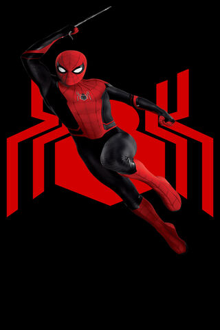 Web-Slinger in Action! 🕷️✨