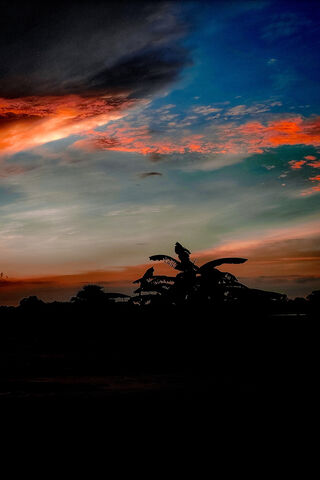 Dawn's Embrace: A Symphony of Colors 🌅✨
