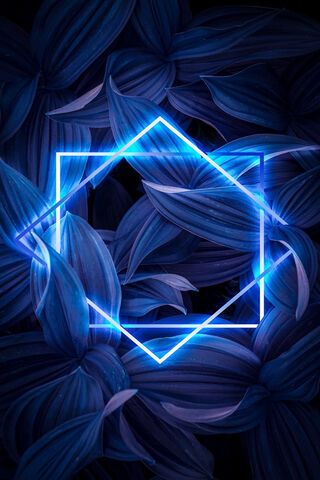 Shape