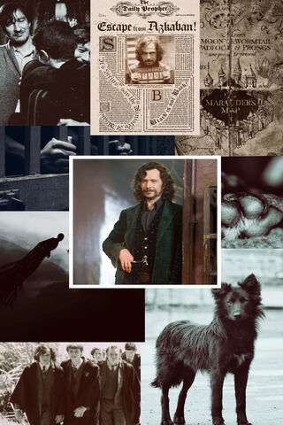 The Enigmatic Escape: Sirius Black's Journey