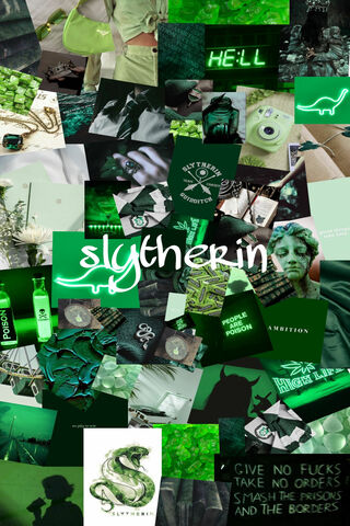 Slytherin Vibes: Ambition and Mystery 🐍✨