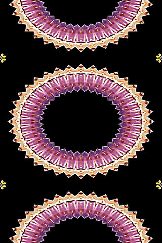 Elegant Patterns in Motion