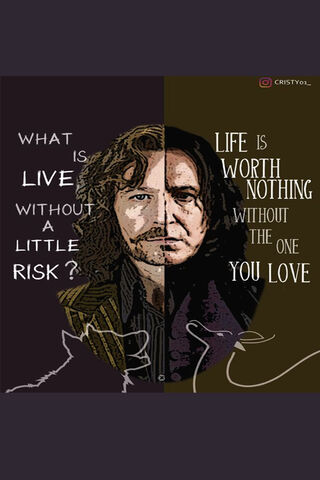 The Duality of Sirius Black: Love and Risk