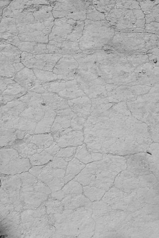 Cracked Earth: Nature's Canvas 🌍