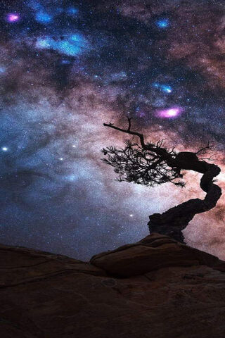 Whispers of the Cosmos 🌌✨