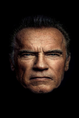 Strength and Resilience: The Iconic Schwarzenegger