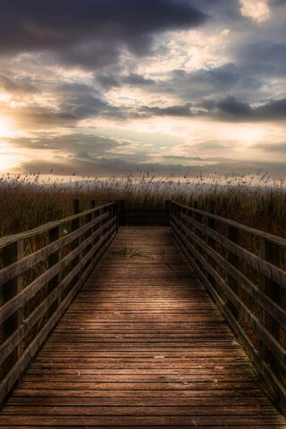 The Wooden Bridge