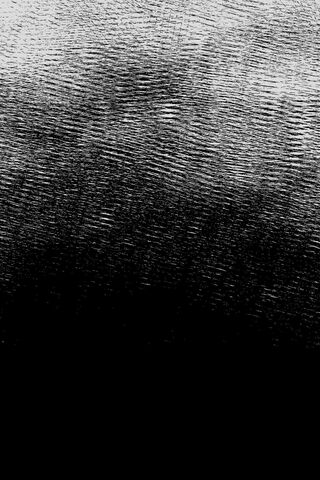 Echoes of Darkness: The TBATE Experience