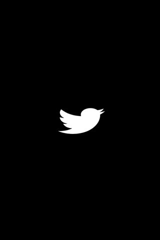 Whispers in the Dark: The Twitter Night Mode