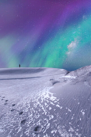 The Aurora