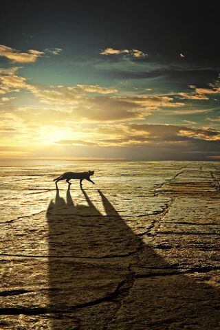 The Big Shadow