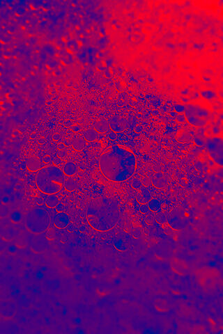 Colorful Orbital Dance