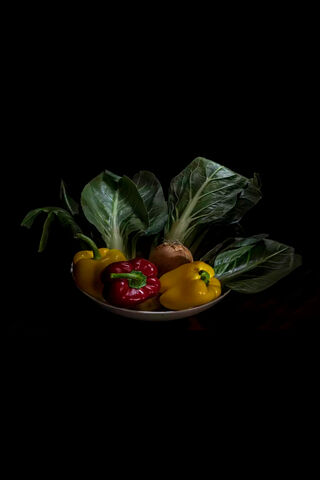 Colorful Harvest: A Bounty of Fresh Vegetables 🥗🌱