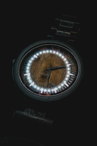 Timeless Elegance: The Watch Brown