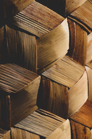 Nature's Craft: The Beauty of Woodwork 🌳✨