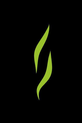 Nature's Whisper: The Essence of Green 🍃