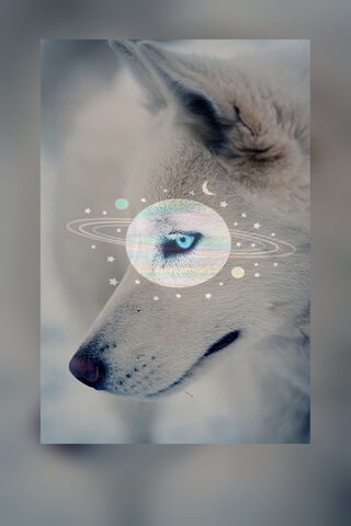 Celestial Howl: A Night with the Wolf 🌌🐺