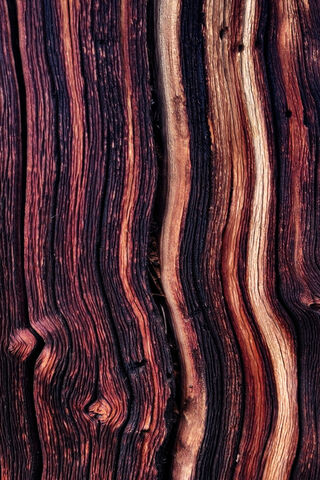Nature's Canvas: The Beauty of Wood Grain 🌳✨