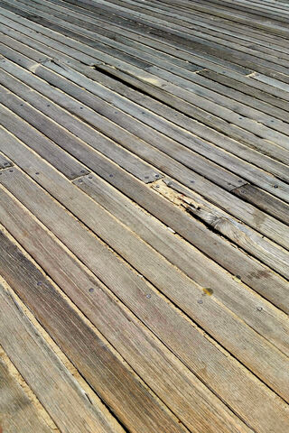 Wood Floor
