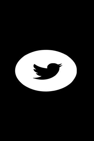 The Chirp of Connection 🐦✨